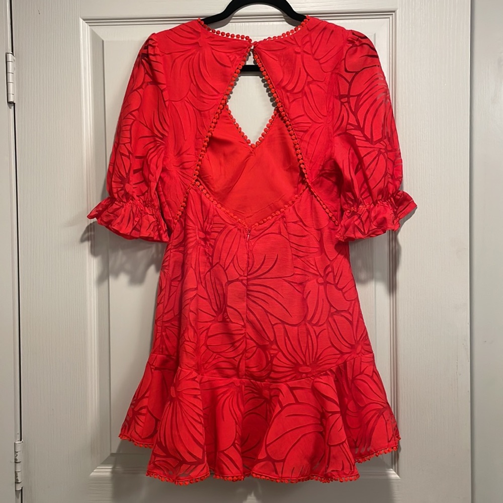 Red Dress - Picture 4 of 5